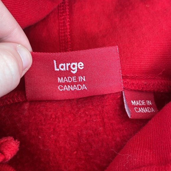 Supreme Collegiate Hooded Sweatshirt Red - Picture 4 of 4